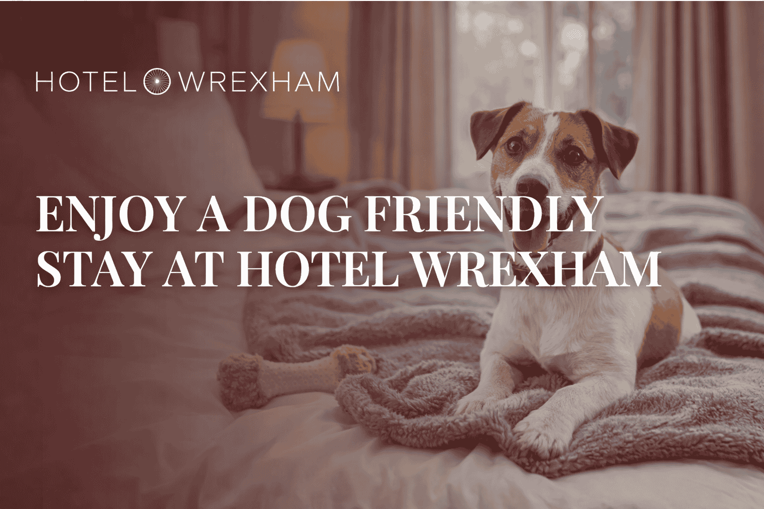 dog friendly hotel North Wales